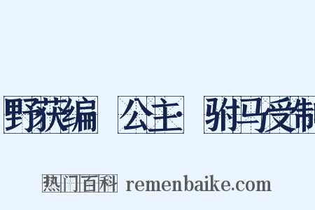 野获编·公主·驸马受制是什么意思的图片